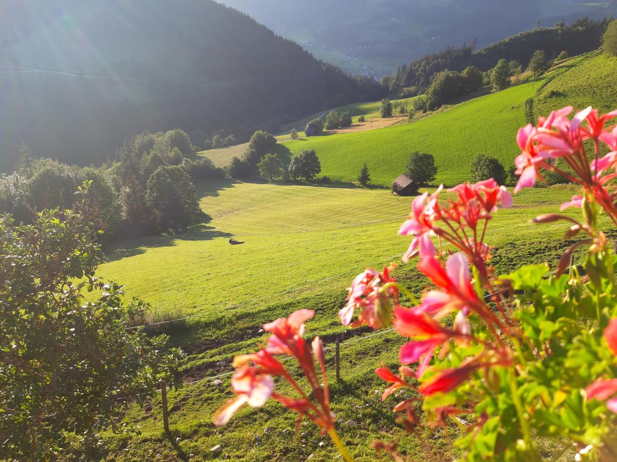 Chalet Leo Michaelerberg Eksteriør bilde